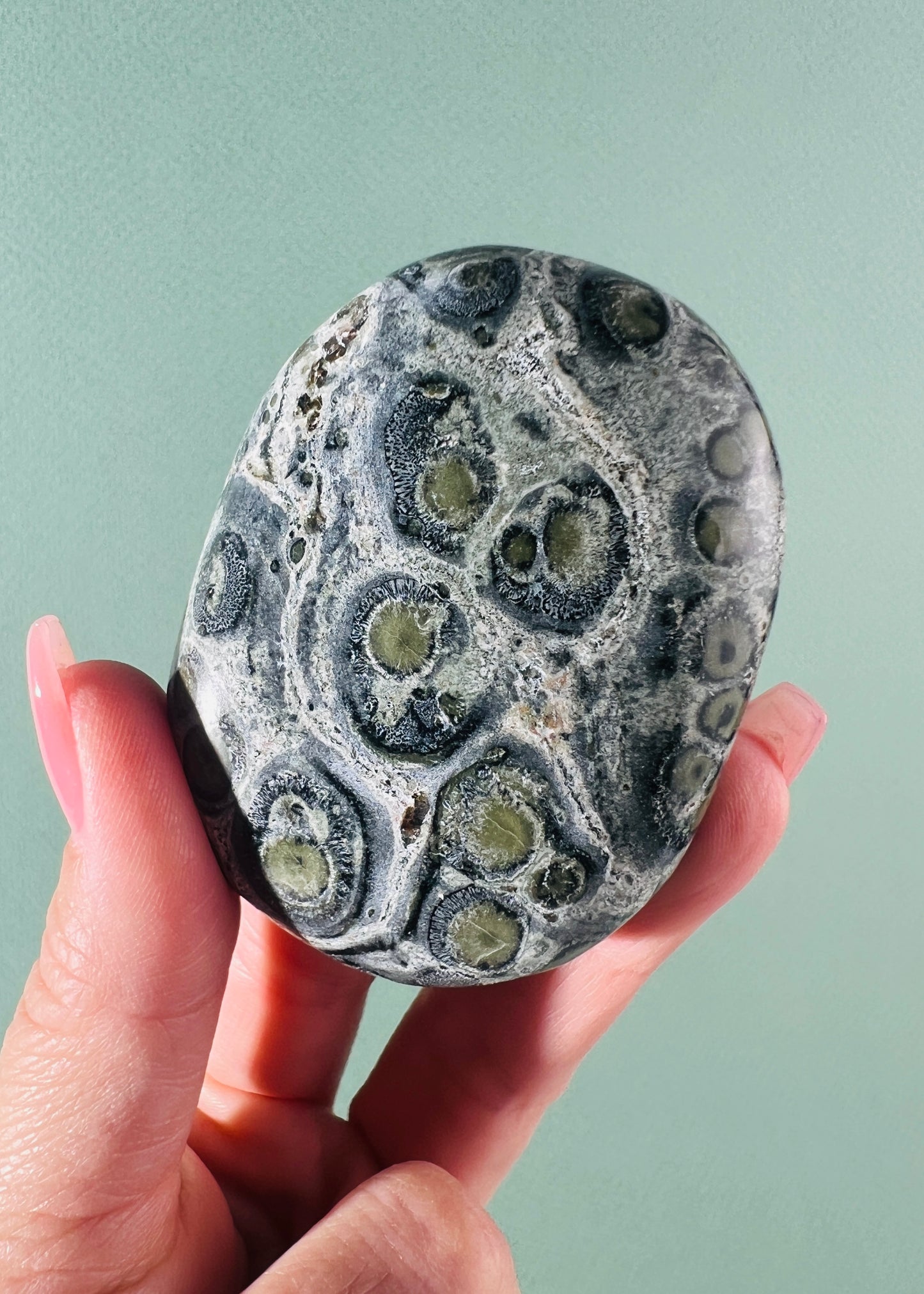 Kambaba Jasper Palm Stone
