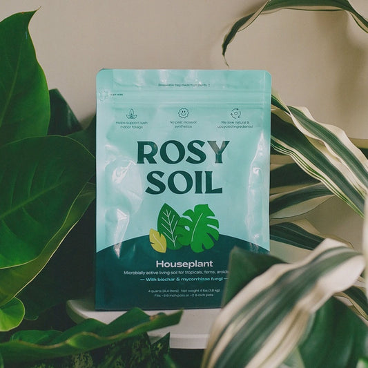 4qt Organic Potting Soil Mix