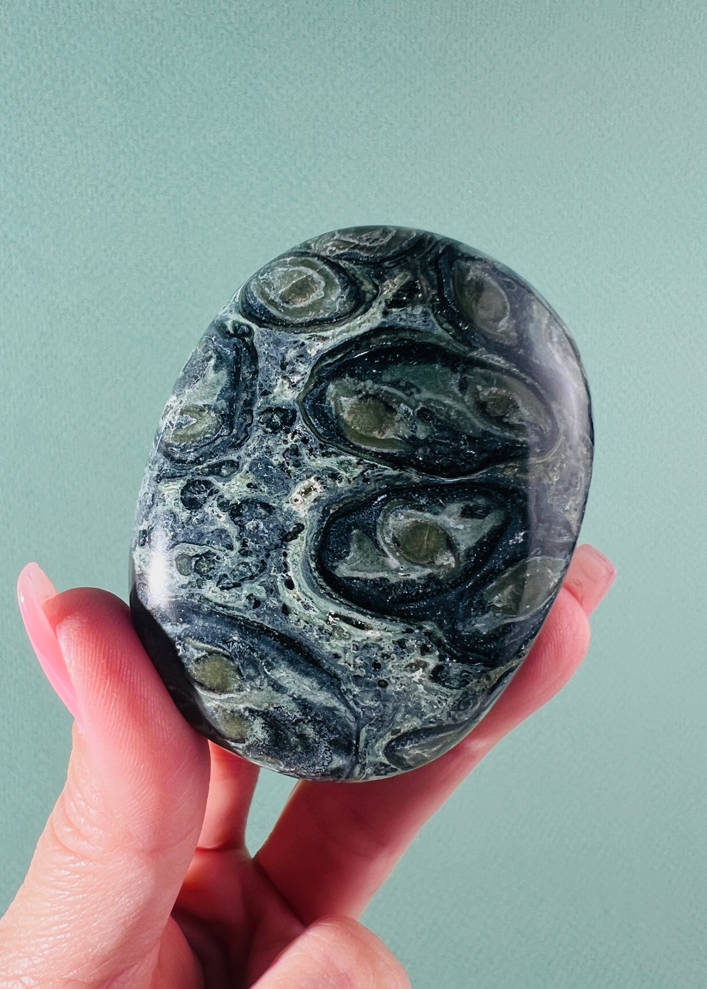 Kambaba Jasper Palm Stone