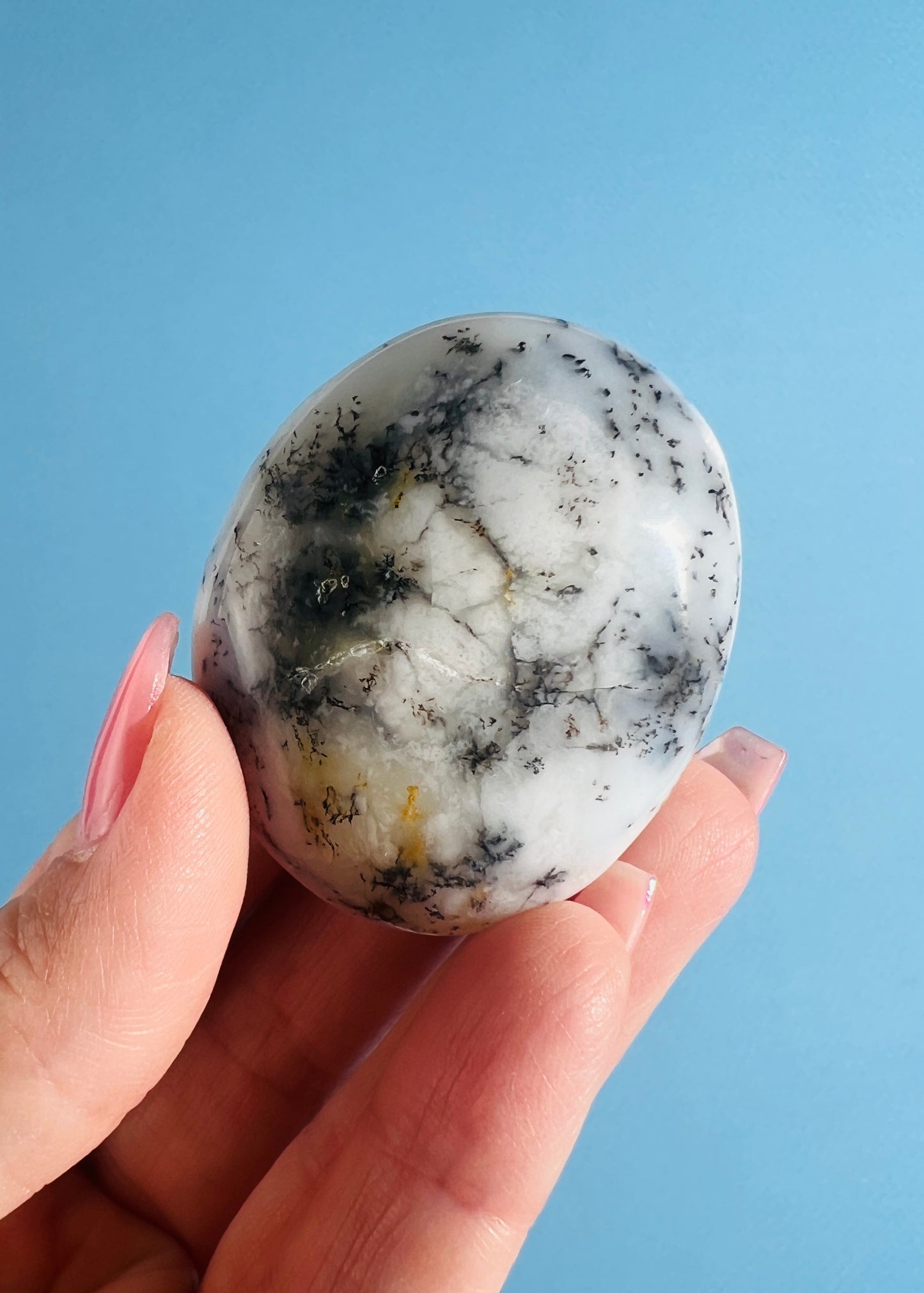 Dendritic Agate Palm Stone
