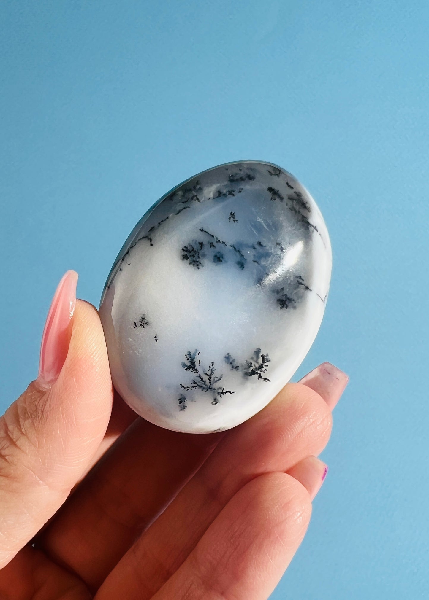 Dendritic Agate Palm Stone