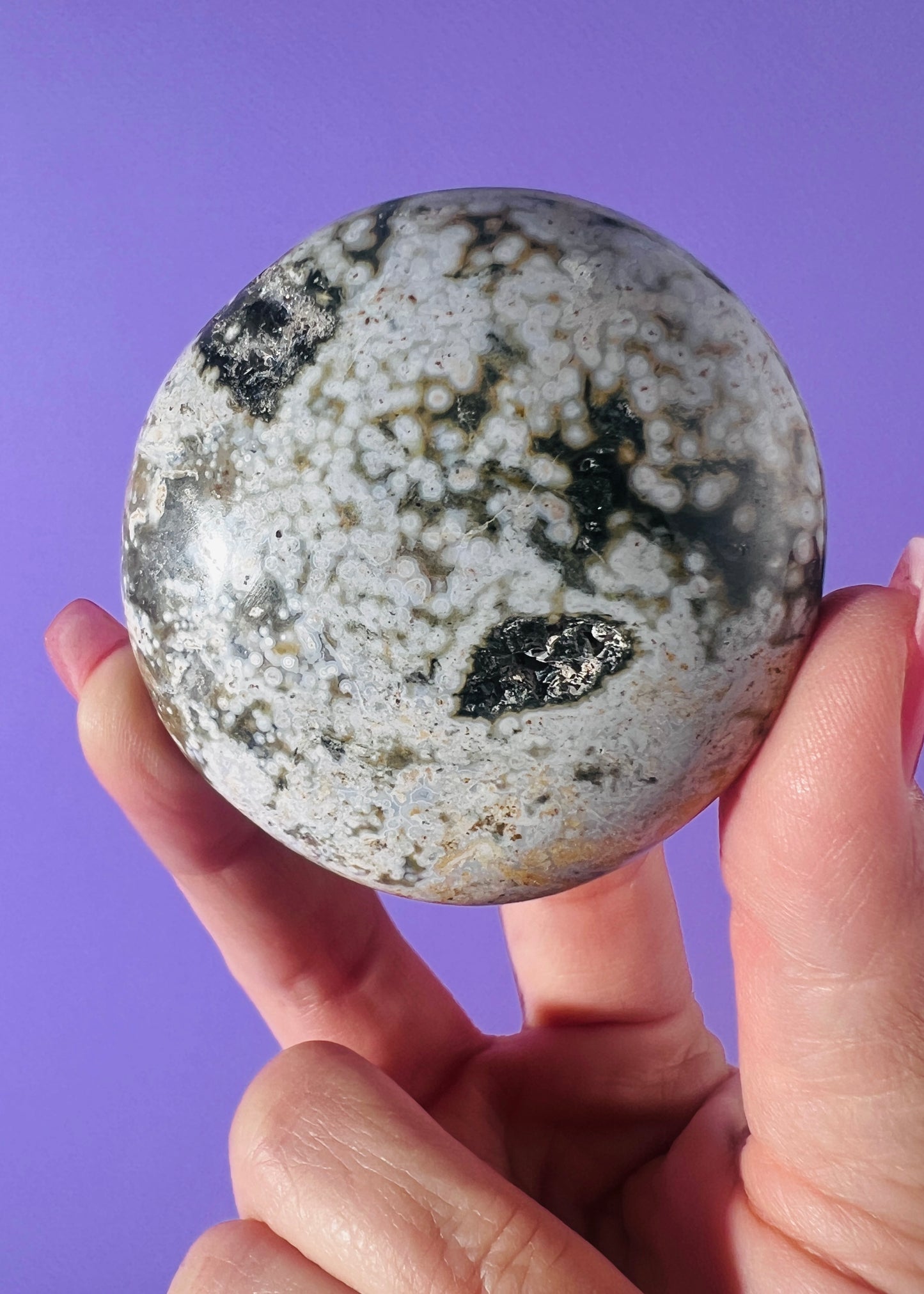Sea Jasper Palm Sone