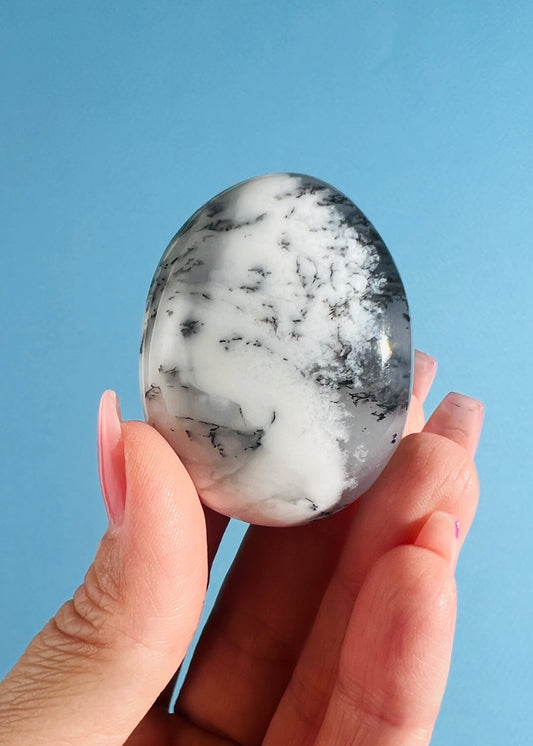 Dendritic Agate Palm Stone