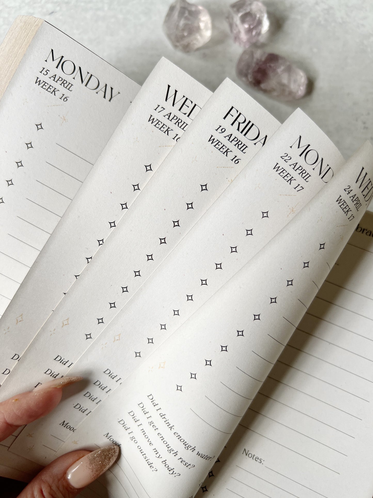Dreamy Moons 2025 Daily Planner
