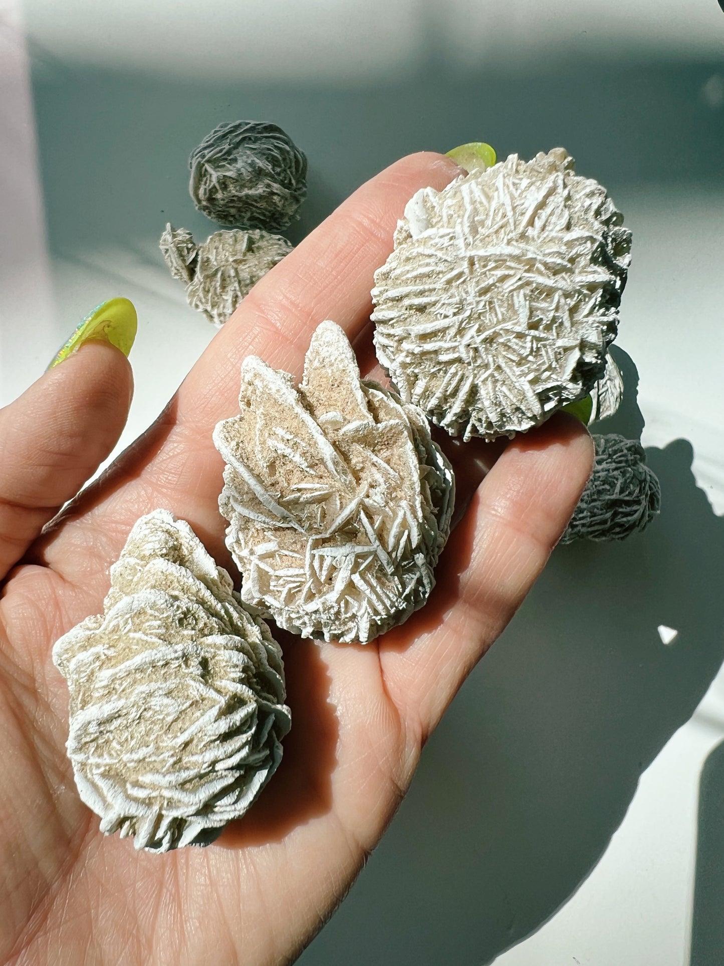 Desert Rose Selenite