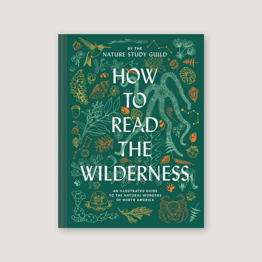 How to Read the Wilderness