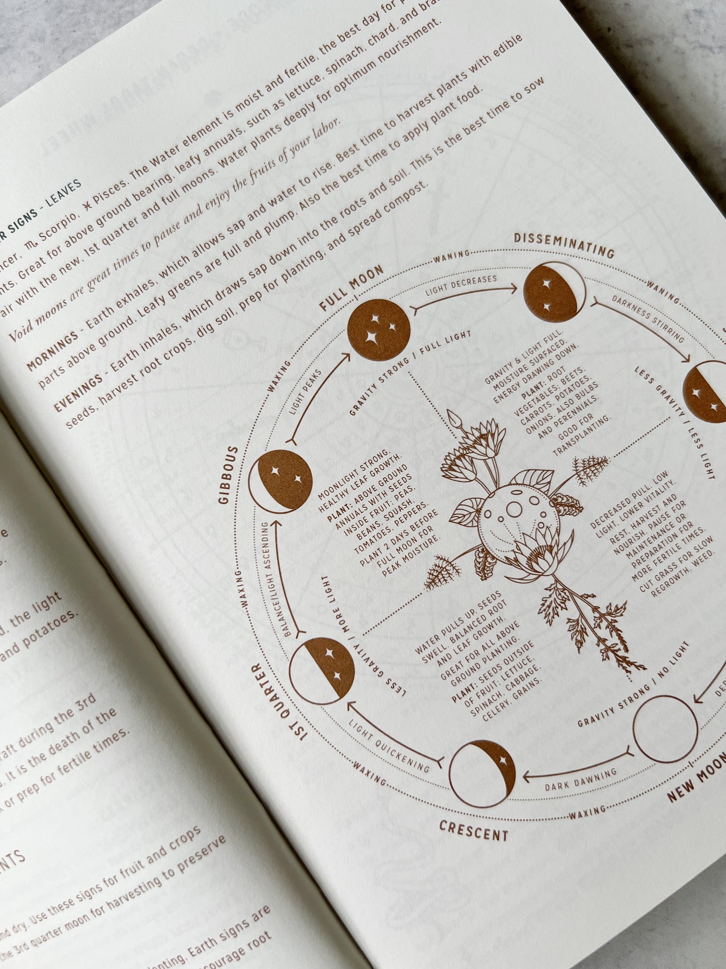 2025 Astrological Pocket Planner