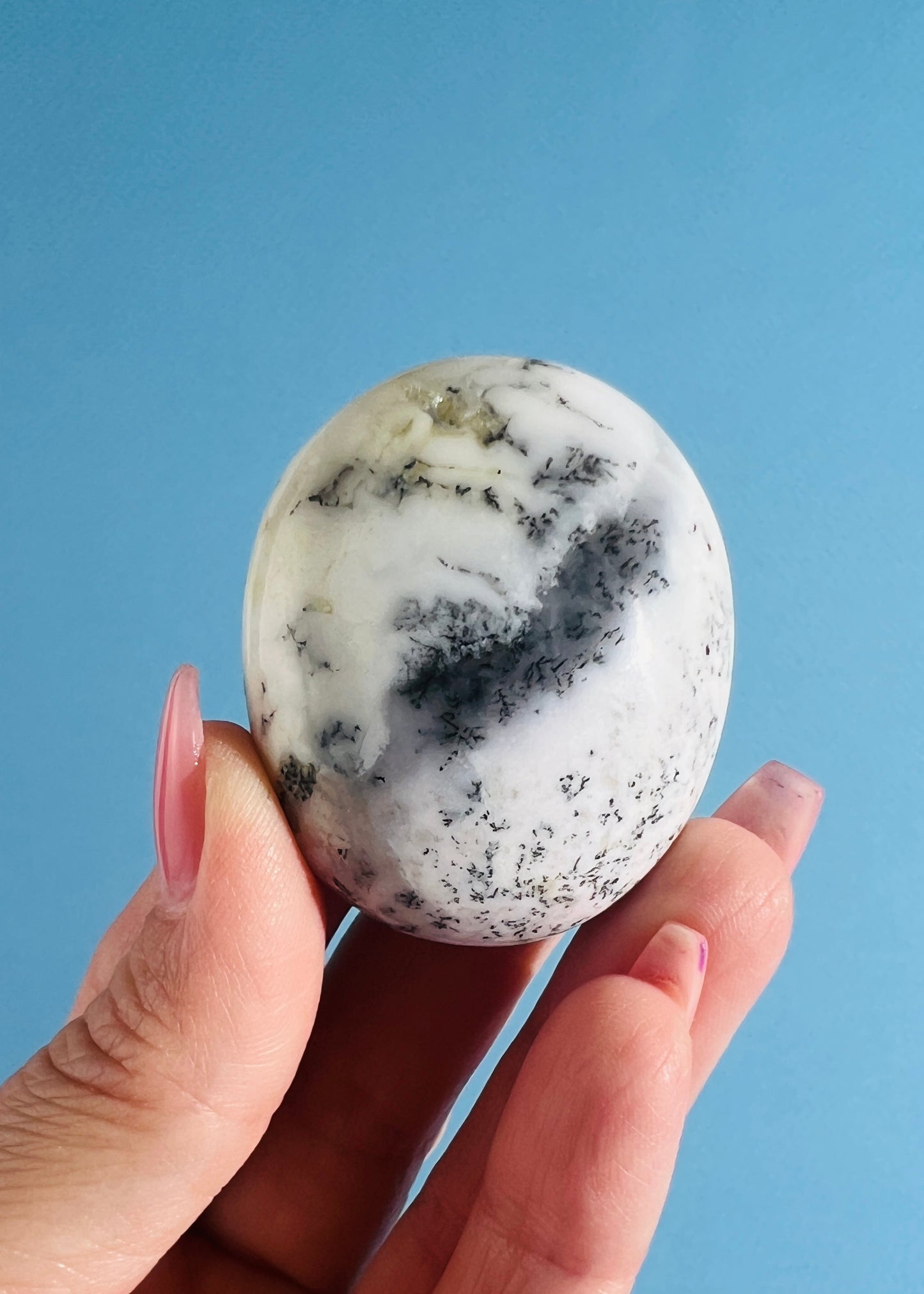 Dendritic Agate Palm Stone