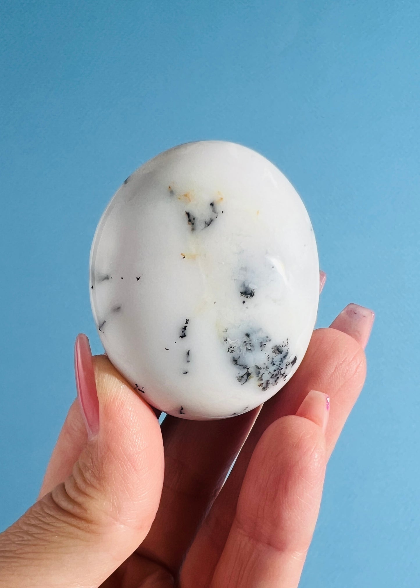 Dendritic Agate Palm Stone