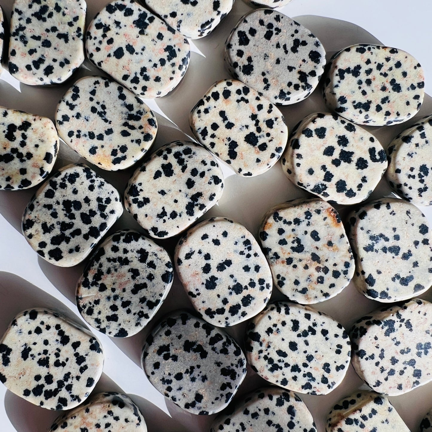 Dalmatian Jasper Flat Stone