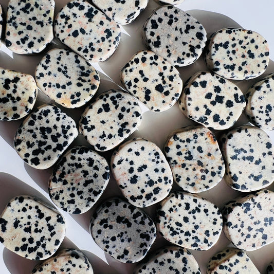 Dalmatian Jasper Flat Stone