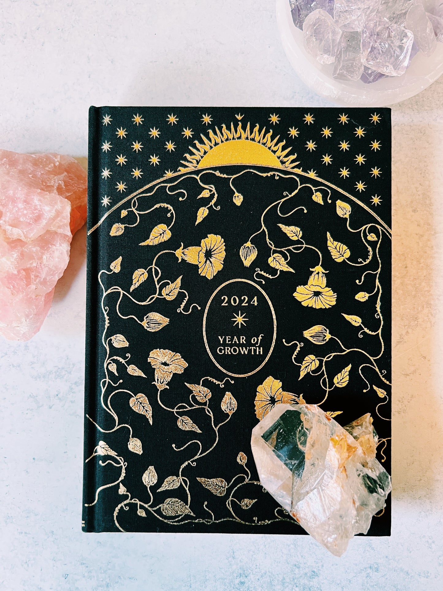 2025 Year of Growth Book