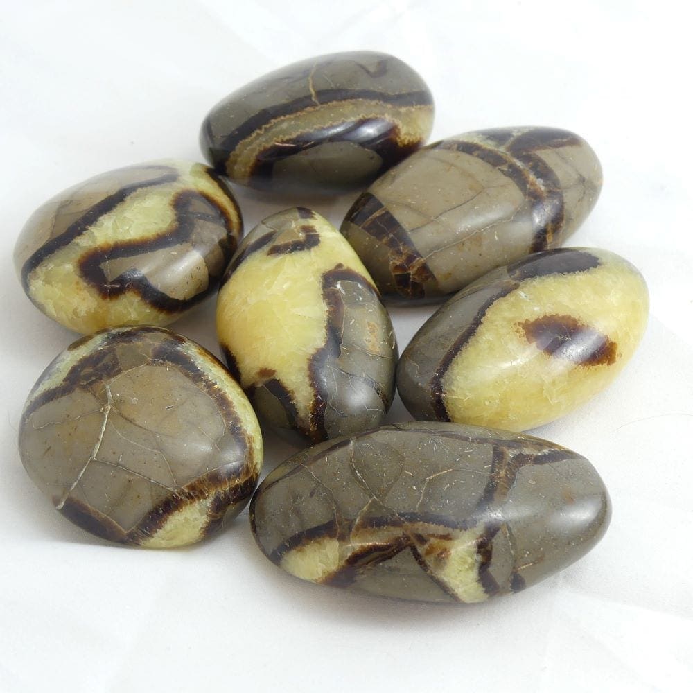 Septarian Pebble