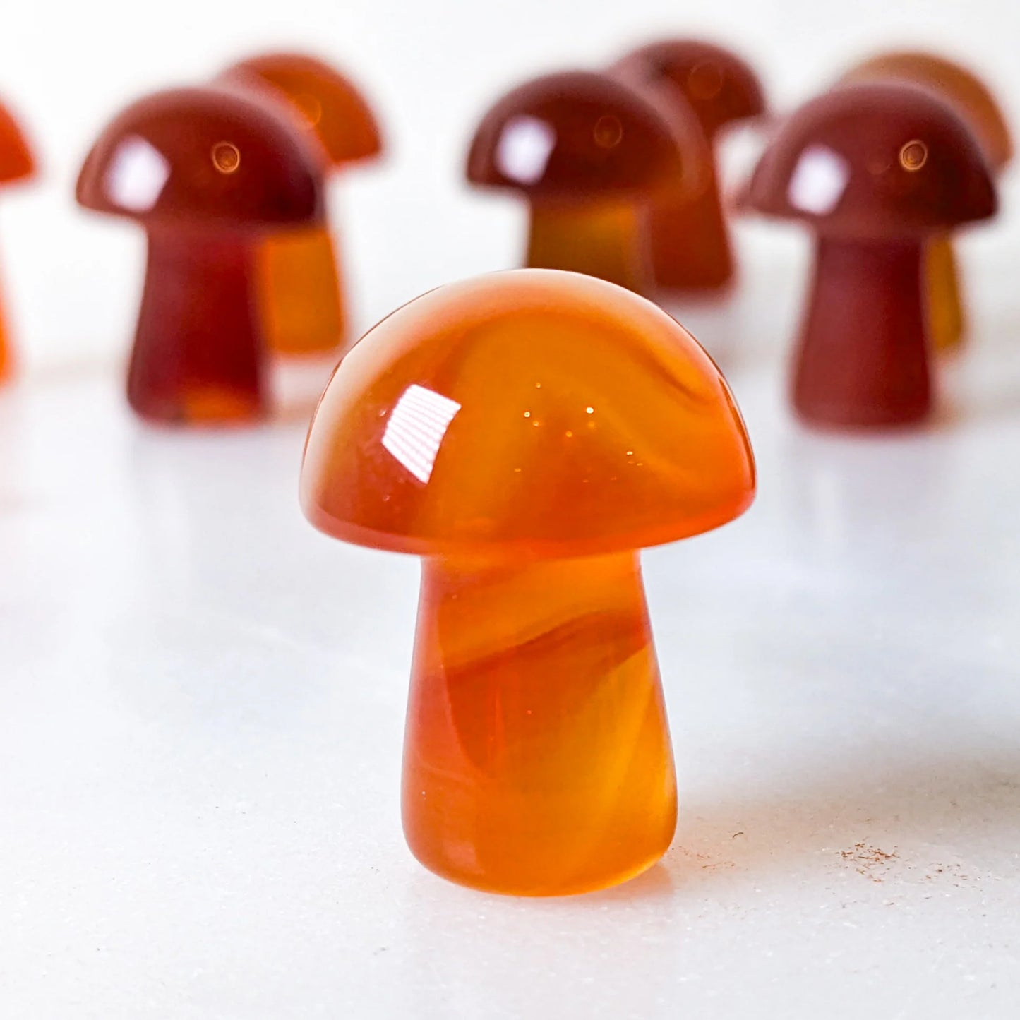 Carnelian Mushroom
