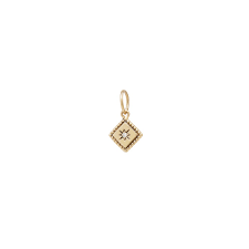 Ziv Charm by Workhorse