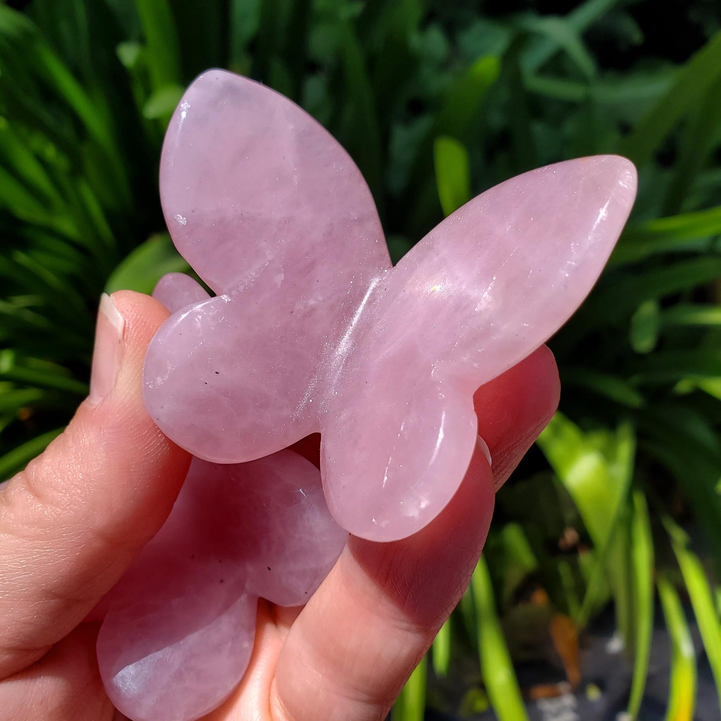 Rose Quartz Butterfly