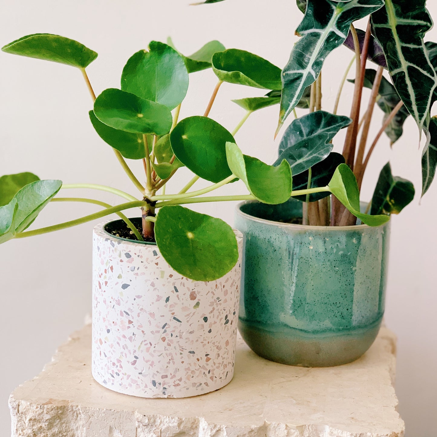 Terrazzo Pot