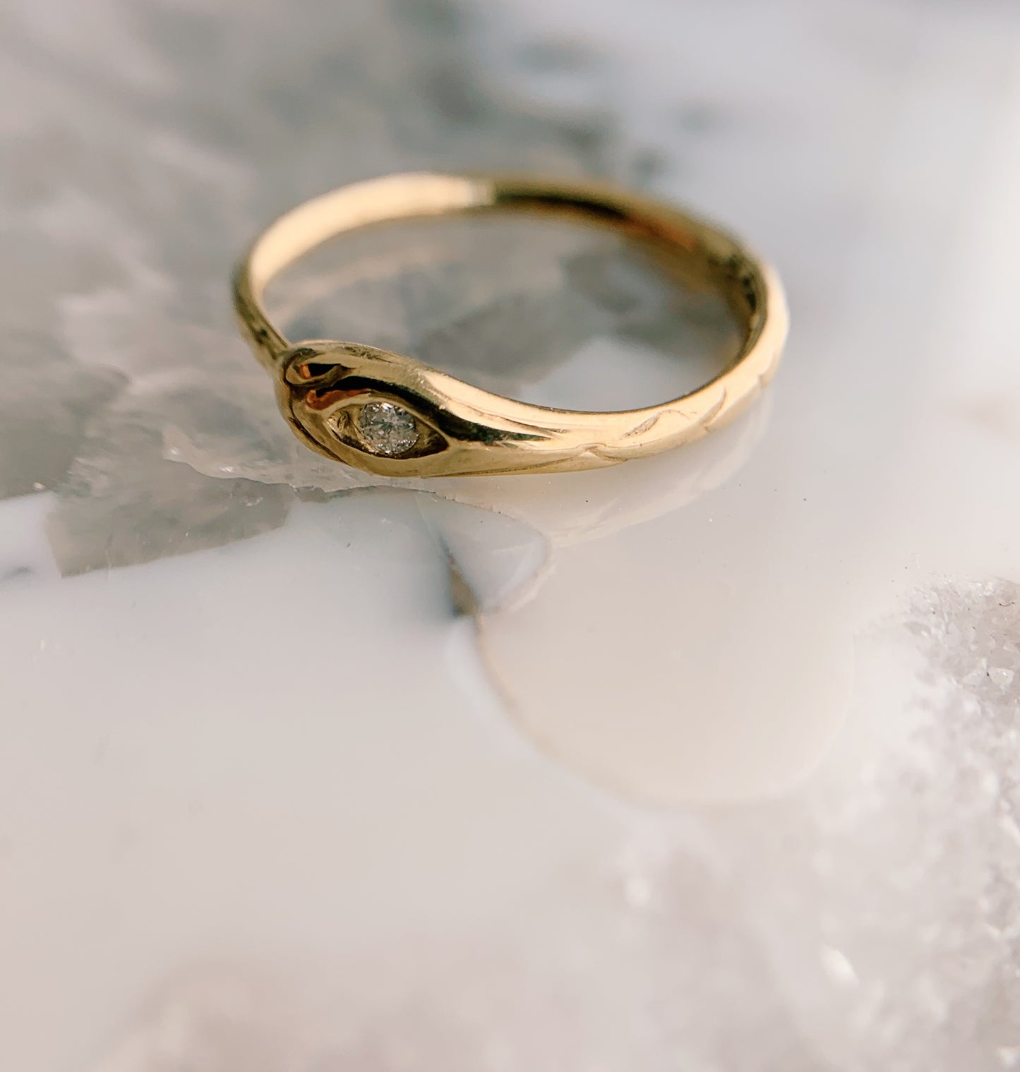 Ouroboros Ring