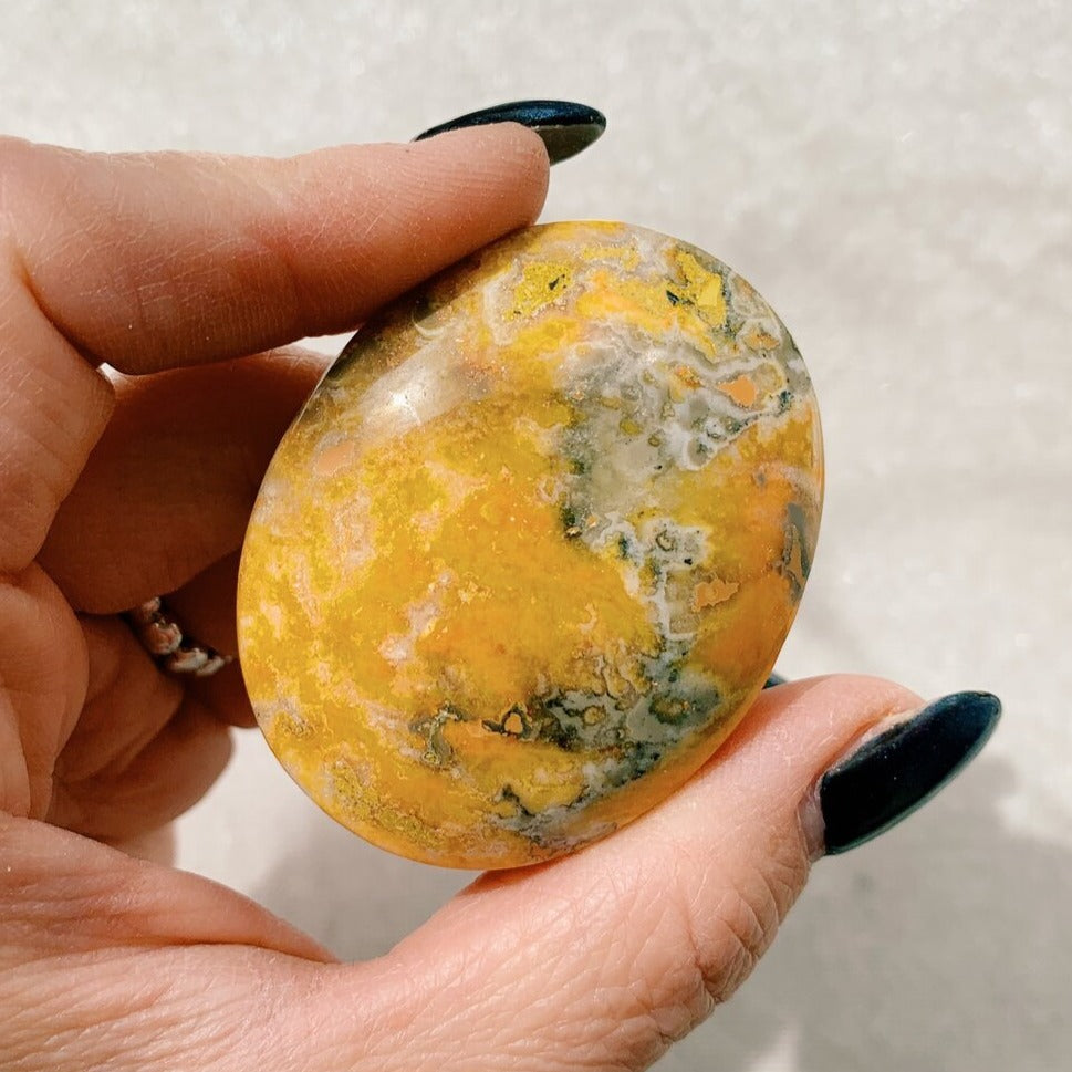 Bumble Bee Jasper Palm Stone