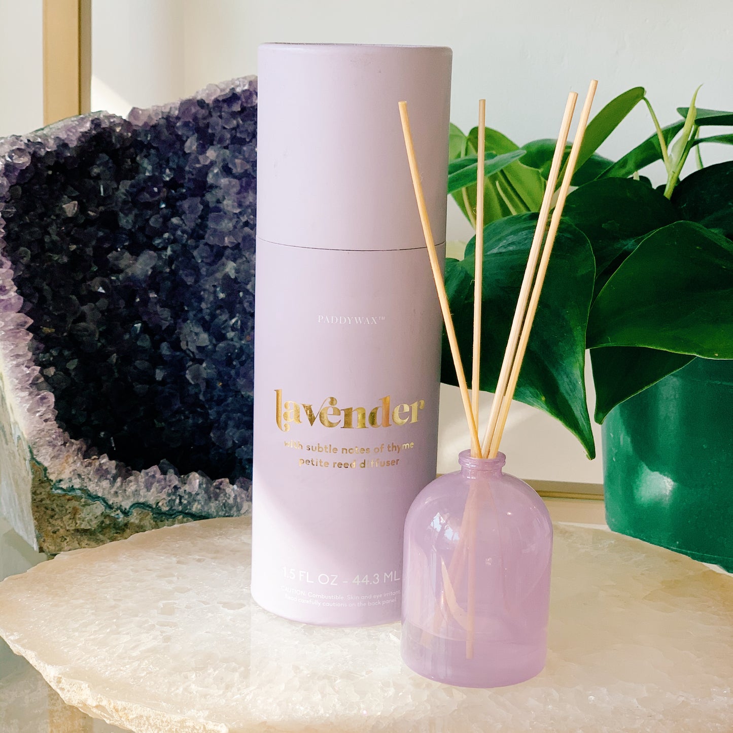 Paddywax Petite Diffuser