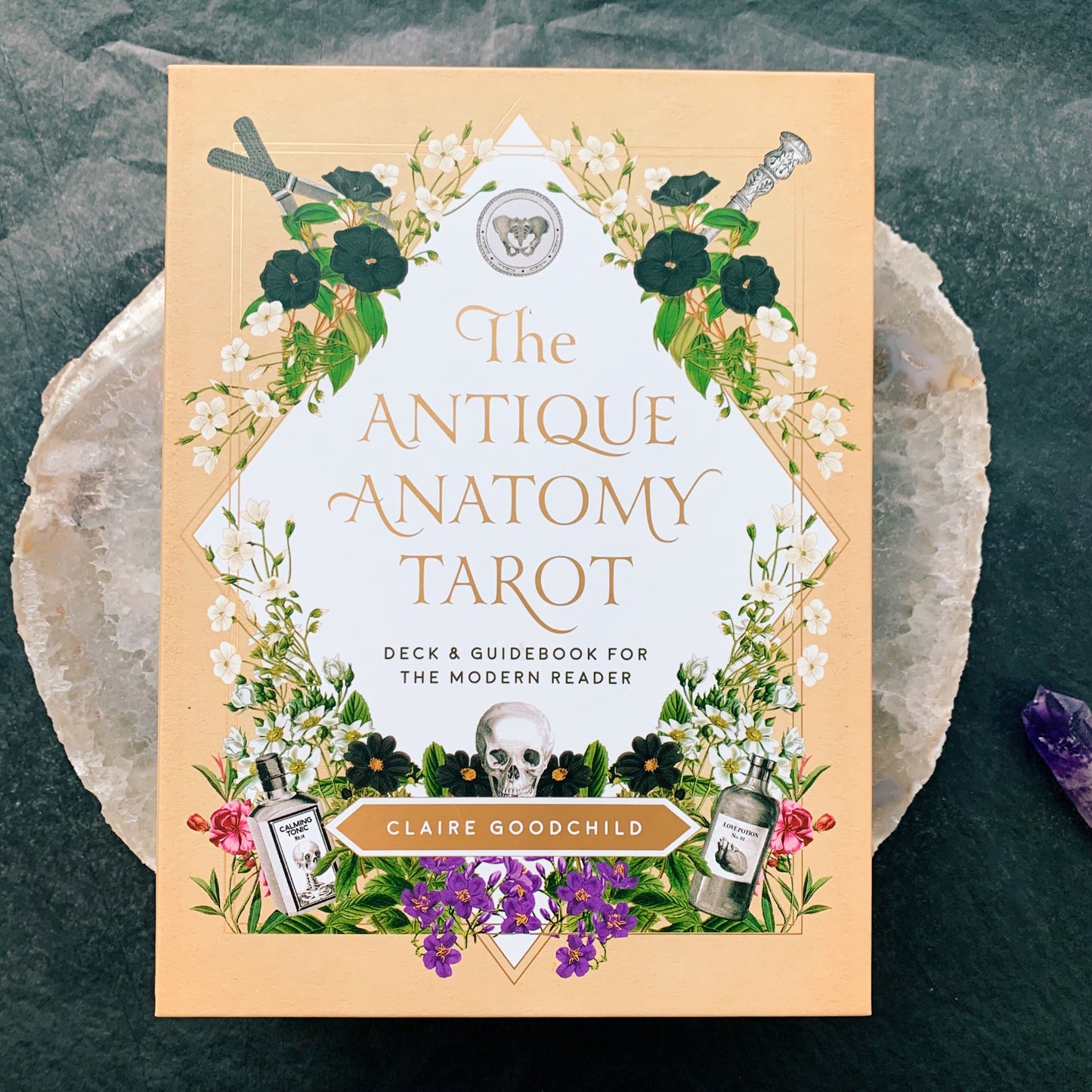The Antique Anatomy Tarot