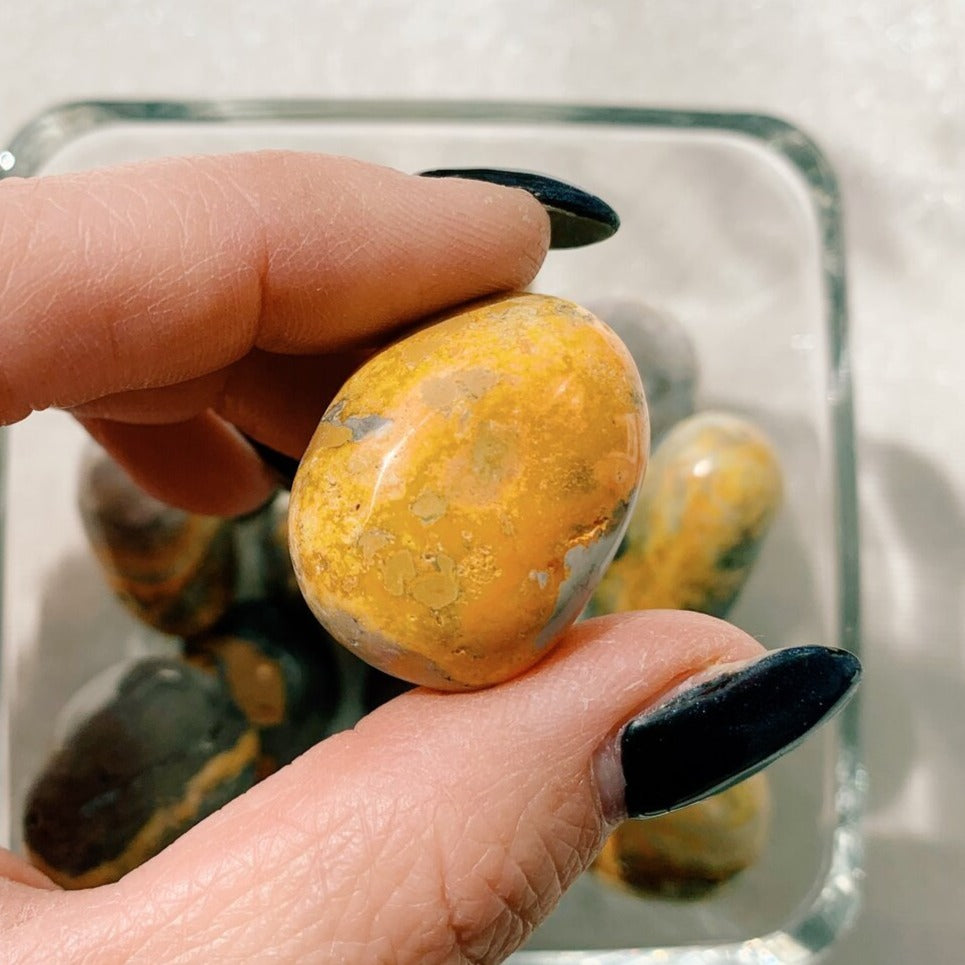 Bumble Bee Jasper Tumbled Stone