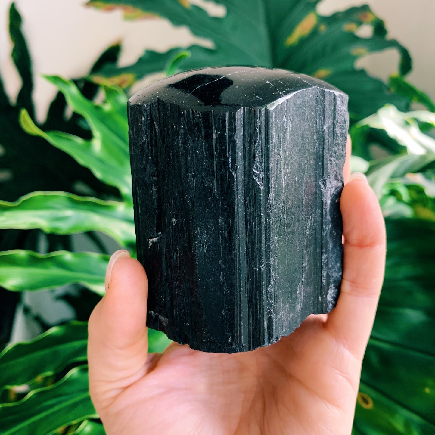 Black Tourmaline Polished Stump
