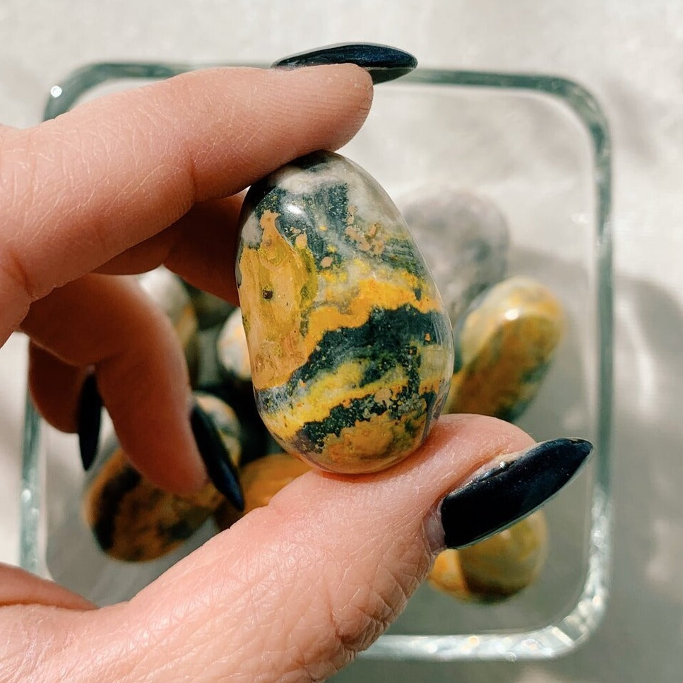 Bumble Bee Jasper Tumbled Stone