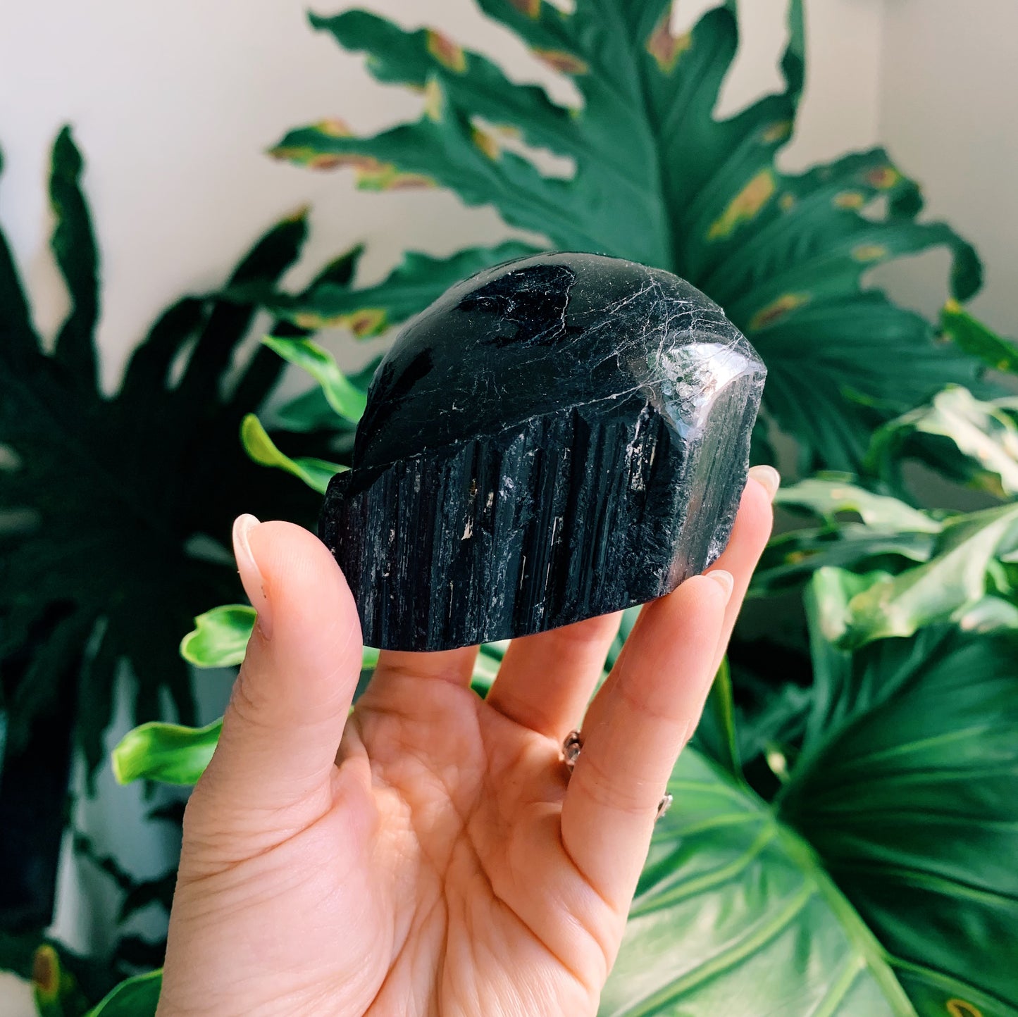 Black Tourmaline Polished Stump