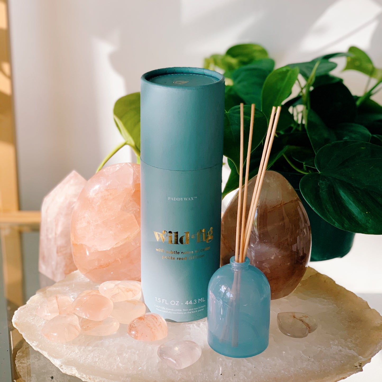 Paddywax Petite Diffuser