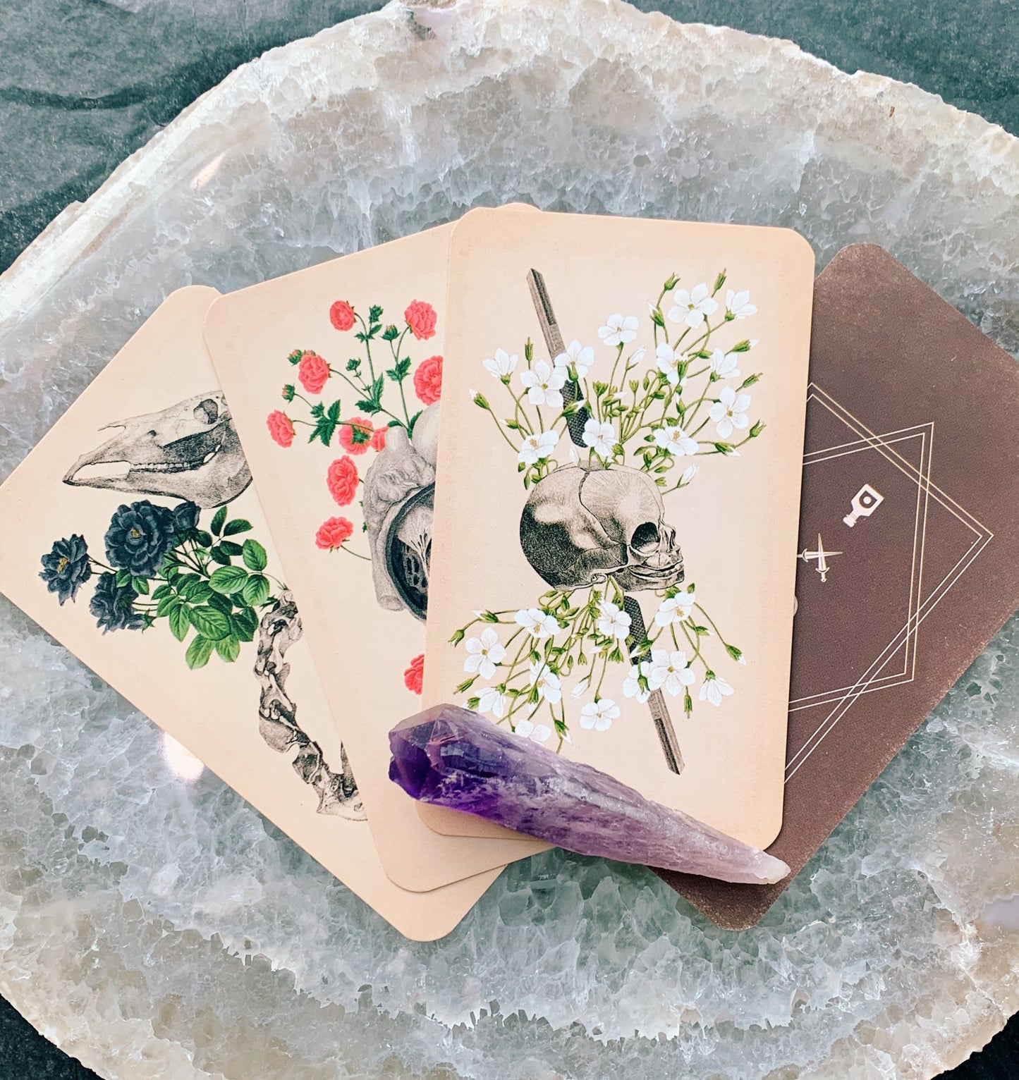 The Antique Anatomy Tarot