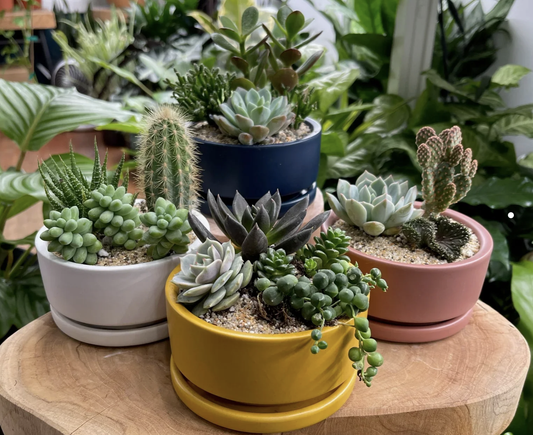 Gemstone Low Bowl Pot