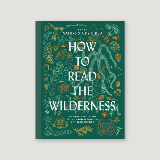 How to Read the Wilderness