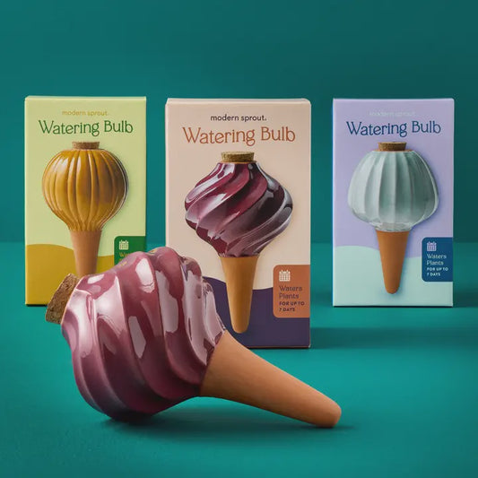 Terracotta Watering Bulb