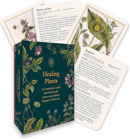 Healing Plants Flashcards