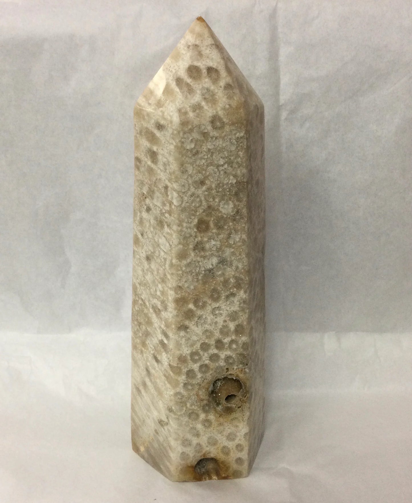 Fossilized Coral Tower