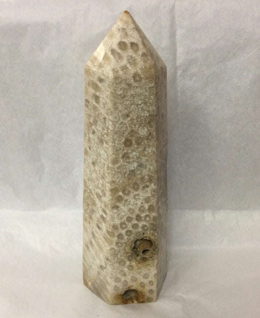 Fossilized Coral Tower