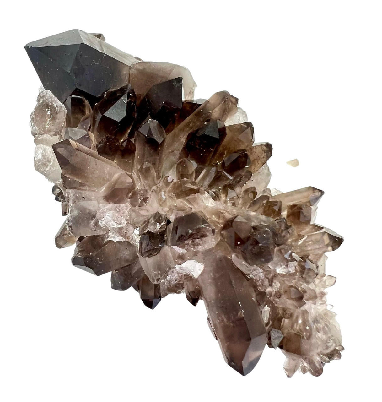 Smoky Quartz Clusters Large