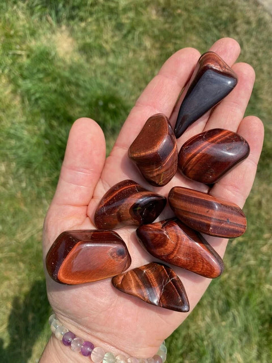 Tumbled Red Tiger's Eye