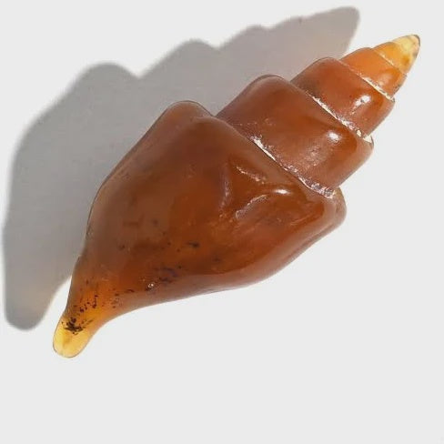 Agate replaced Shell