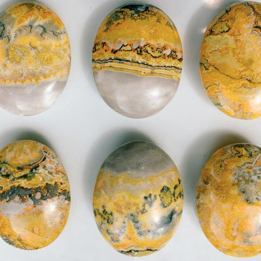 Bumble Bee Jasper Palm Stone